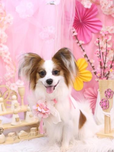 20250315ムーくん